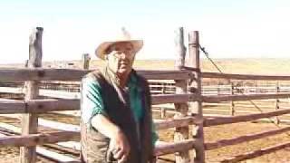 preview picture of video '2007 Deep West Video: Fifty Years of Cattle Brand Inspecting'