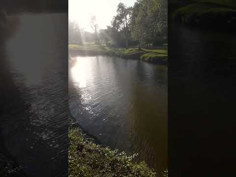 Camping municipal arroyo del medio #camping #arroyo #naturaleza #misiones