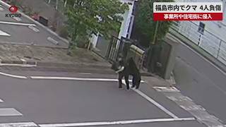 【速報】福島市内でクマ、4人負傷   事業所や住宅街に侵入