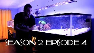 REEF TANK ADDICTION Season 2 Episode 4 ( All in one 16 foot 410G saltwater coral reef )