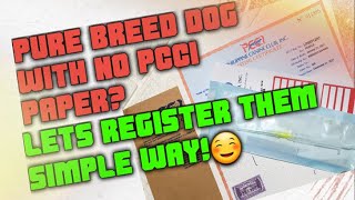 How to Register a Pure Breed Dog Without Papers to PCCI 2022