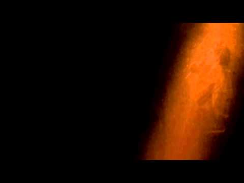 Robo Grigorov - Čierny kôň