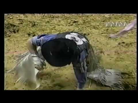 Gas Hog bucks Michael Gaffney - 00 PBR Columbus, GA