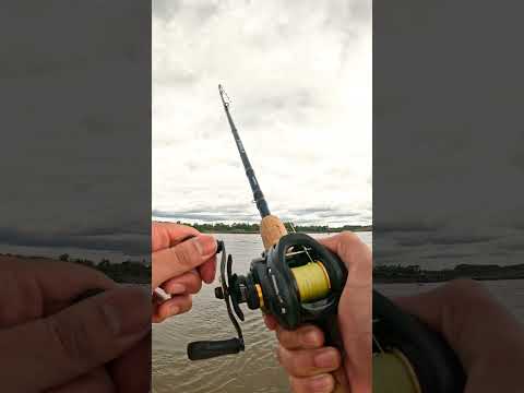 Pesca en Concordia - Salto Grande