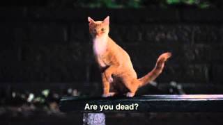 Azarel [are u dead?]