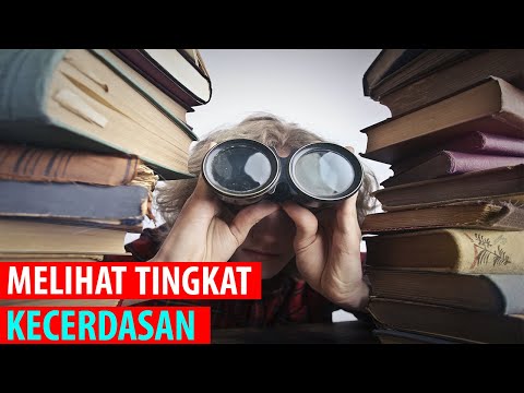 KECERDASAN DAN TINGKATANNYA JADI SOBAT DI URUTAN BERAPA YAA - SOBATKONSELING