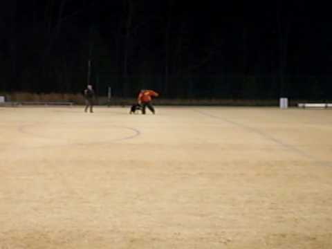 k9 unit spending quality time with the rookie