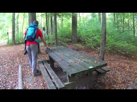 download lagu mp3 mp4 La Foret De Soigne, download lagu La Foret De Soigne gratis, unduh video klip La Foret De Soigne