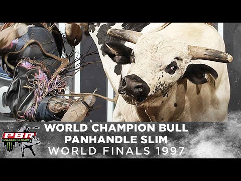 1997 World Champion Bucking Bull: PANHANDLE SLIM