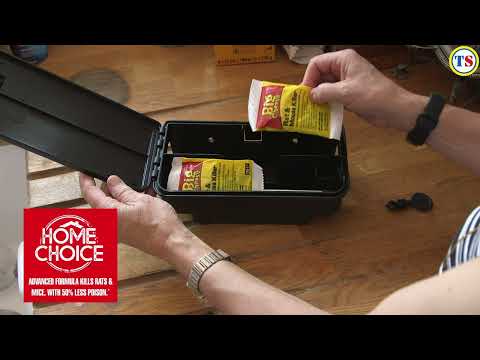 The Big Cheese Mouse & Rat Killer Bait Sachets | Toolstation