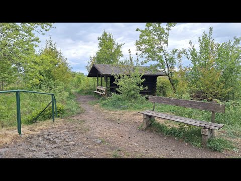 Hallesche Hütte bei Goslar (HD)