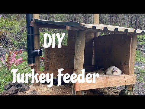 , title : 'DIY Turkey Feeder Project'