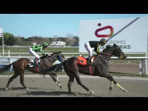 230908 c04 - CAPE VIOLENTO (ARG) - HIPODROMO LAS PIEDRAS