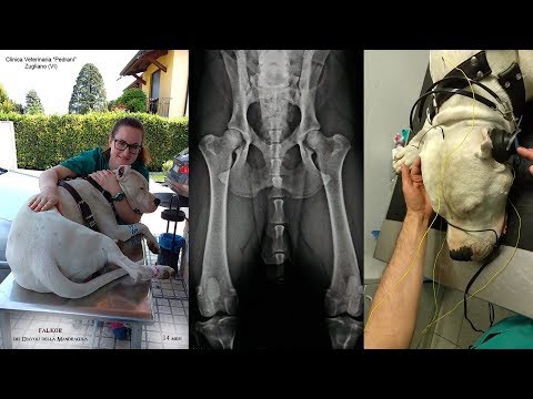 Immagini di massaggio osteocondrosi Chlamydia sulle articolazioni
