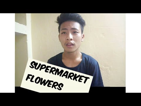 Ed sheeran - Supermarket flowers //cover song // Obed Lego