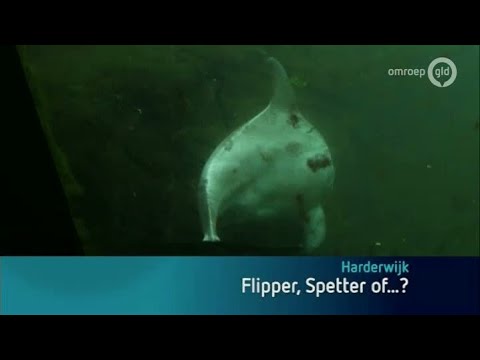 GLD Nieuws 11 augustus 2014