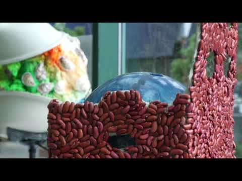 CAFKA.21: Daniel Griffin Hunt, It’s the bits