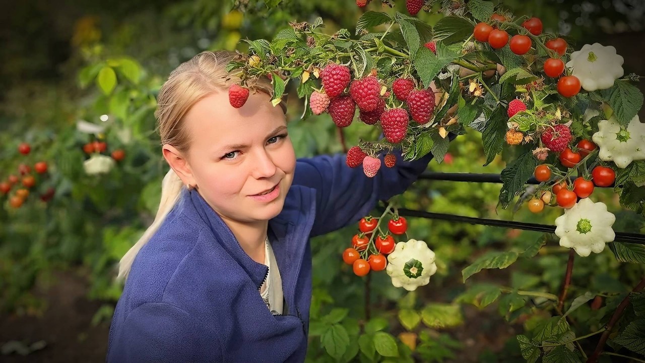 Осень в БЕЛОРУССКОЙ Деревне! Как Мы Готовимся к ЗИМЕ и Какой Последний УРОЖА?