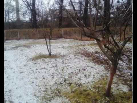 FOTOGRAFI DIN SUNCUIUS SI TARCAITA JUD BIHOR