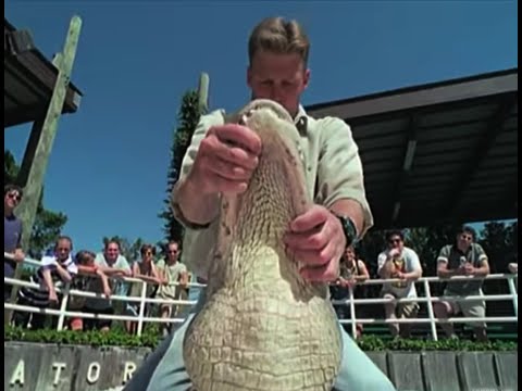 What's Wrong with These Animals? Animal Hypnosis | Supernatural | BBC Earth