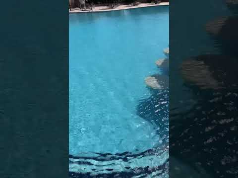 #shorts #dayinmylife #vlog #explore #youtube #subscribe #viralvideo #viralshorts #summer #trending