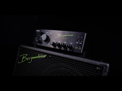 Bergantino Forté Run Down