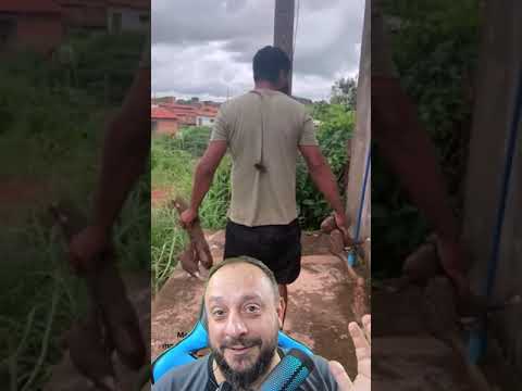 Giant spider on the back