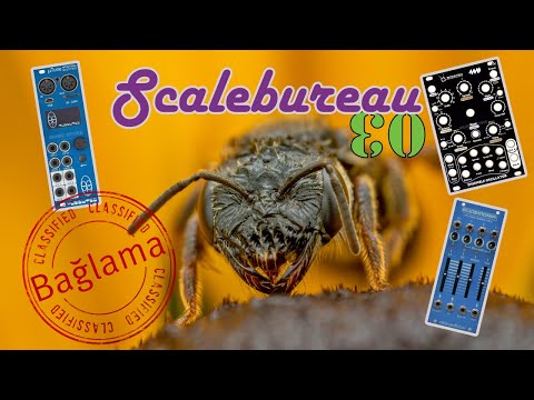 .: Scalebureau °03 ¡¡ Where pitch hits more than 12 notes feat. Tubbutec µTune, 4MS EO & Eudemonia