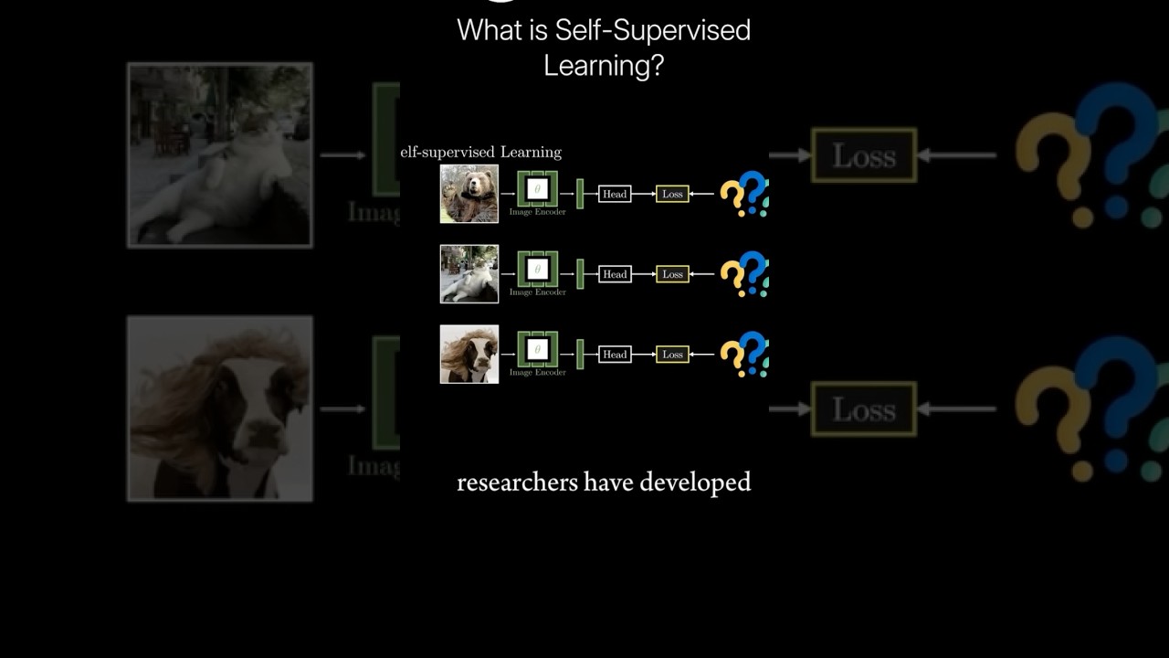 What is self-supervised learning?