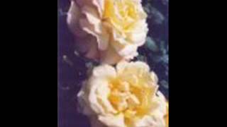 Red Sovine-Roses For Mama