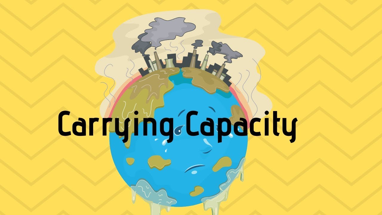 What determines the carrying capacity of an environment?