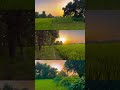 Farmer WhatsApp Status Farmer Song Status WhatsApp Status   Shorts  Status