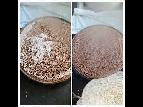 100℅ Teff Injera👌👌👌