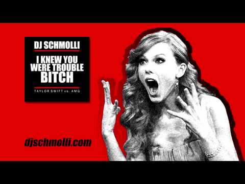 DJ Schmolli - I Know You Were Trouble Bitch [Cover Art]