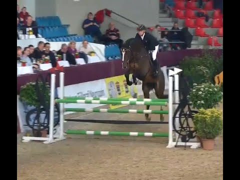 Tornado SH OLD, v. Toulon - Diamant de Semilly, OS Hengst, gekört * 2019