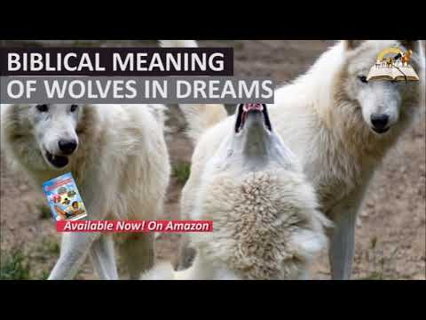Biblical Meaning of WOLVES in Dream - Matthew 7:15 Prophetic Meaning of Wolf