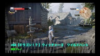 #54 The Witcher3 Game Play