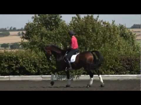 Emile Faurie & Max work on basics after European Champs' gold! TRAILER