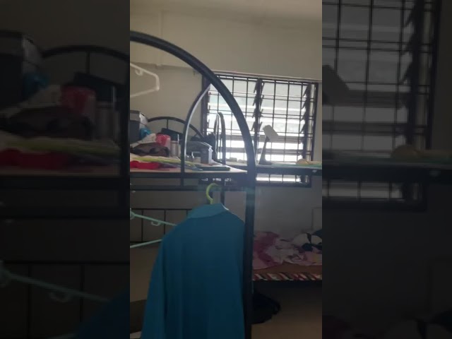 3-Room HDB for Room Rent: 124 Bukit Merah Lane 1 - Image 12