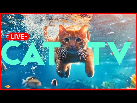 🔴 [LIVE] 24/7 CAT TV 🐠 Anxiety and Stress Relief Music forCats 🐱