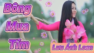 Video Bông Mua Tím Lưu Ánh Loan