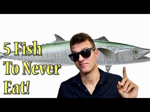 5 Fish to NEVER Eat