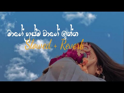 Mage Husma Wage Inna | Slowed & Reverb songs vibe - Chuki Vibes