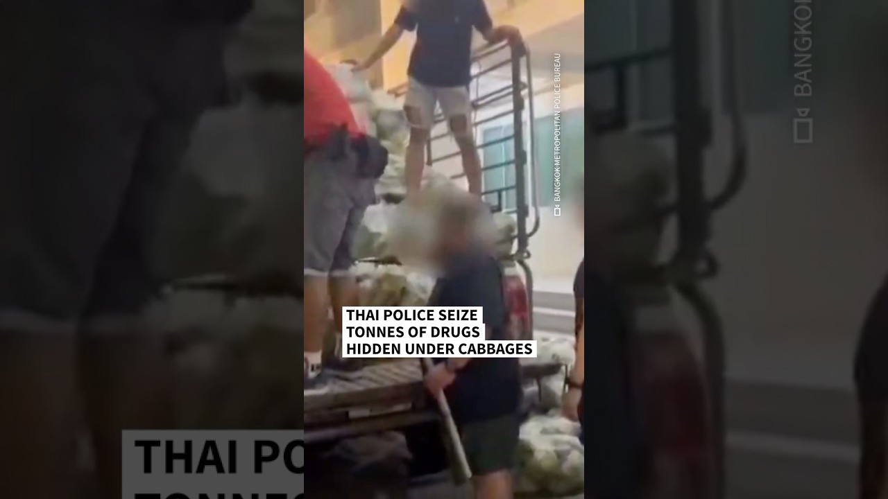 Thai police seize drugs hidden under cabbages | AFP