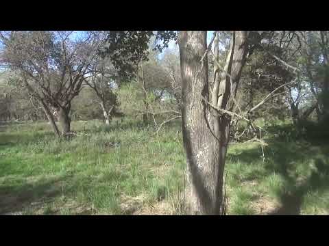 C.E FORTIN EL ARBOL -ESTO FUE Y SERA LA CUNA DE LA EDUCACION DEL SUR DE CORDOBA