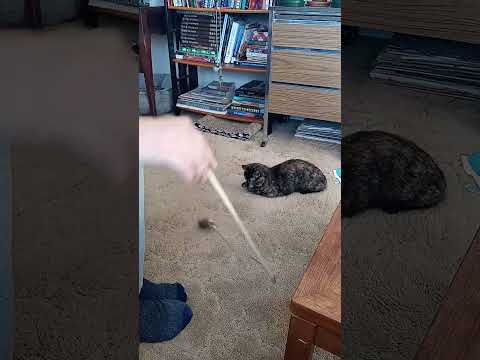 Took The Rod Right Out Of His Hand.