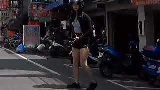 停讓不只是一種美德