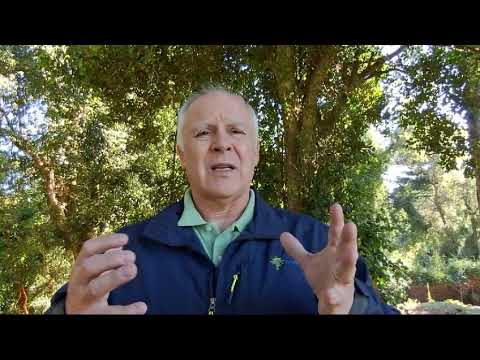 Declaración atentado en Los Álamos / Presidente Corma Biobío y Ñuble, Alejandro Casagrande