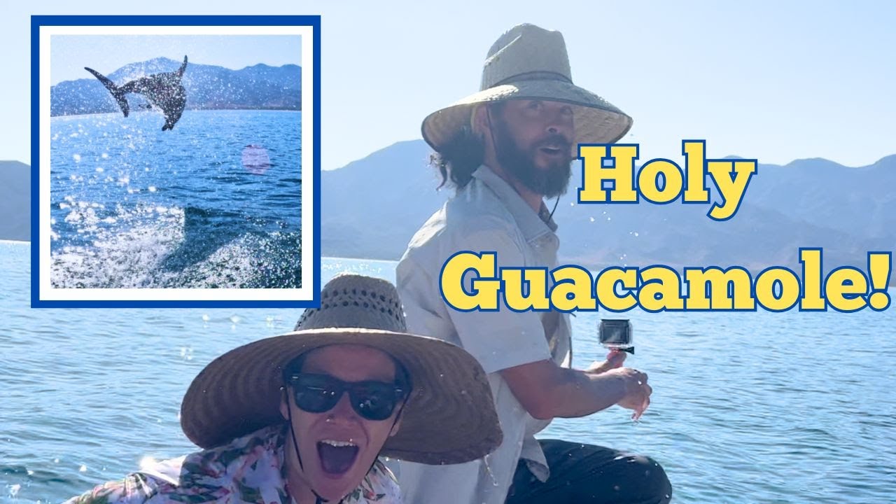 S2, Ep19 How the Sea of Cortez Lures Us