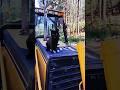 Behemoth The Black Cat Meowing On A Cat Cat Hoe Shorts